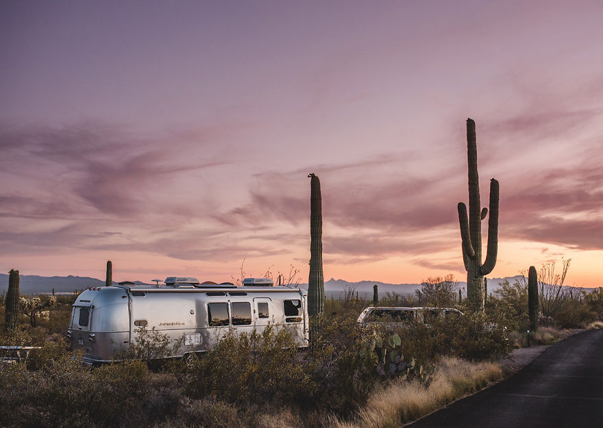 Saguaro National Park
