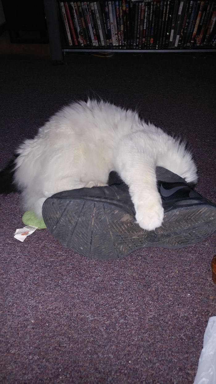 She Sleeps Like This!