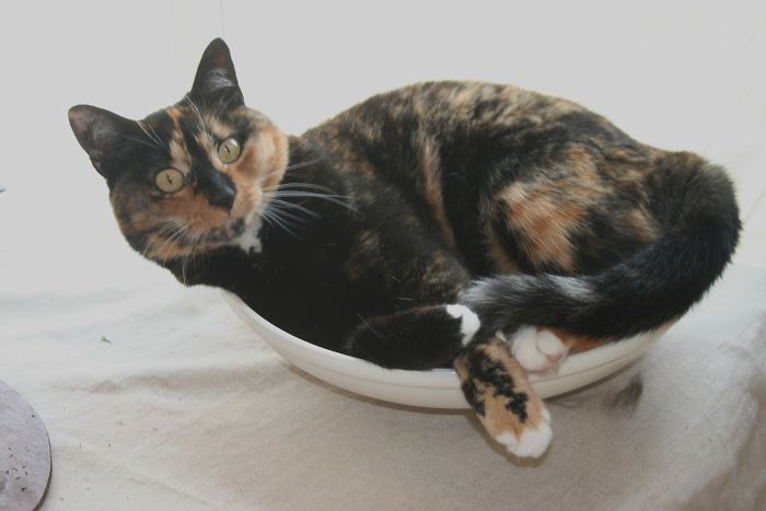 Bella's Favourite Place.