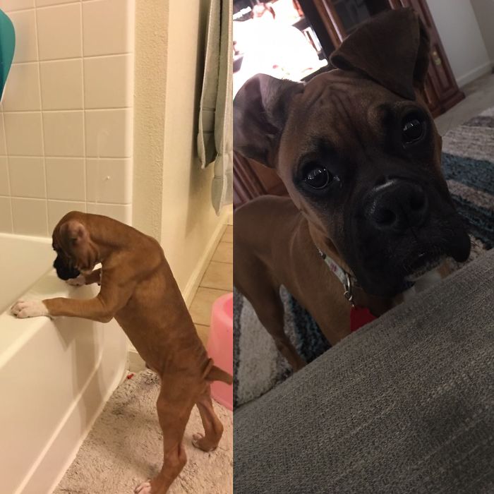 3 Month Difference