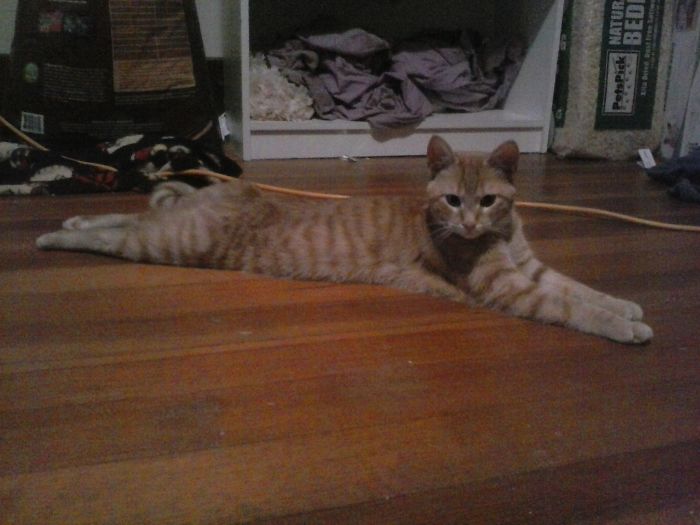 Topaz Is Just Chillin'