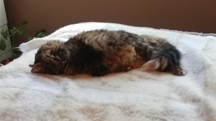 The Morning After....