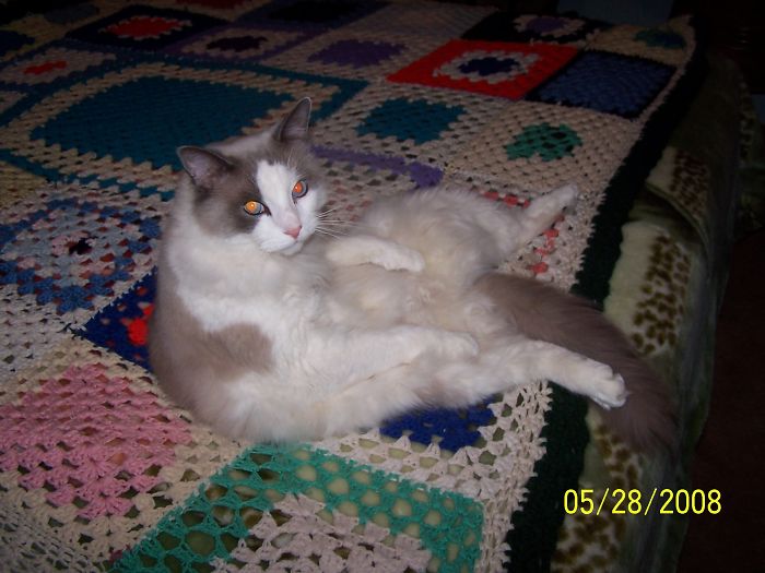 "yes, I'm Comfortable. What Do You Want?"