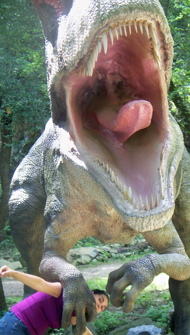 We Had A Lovely Day At The Zoo When Suddenly...