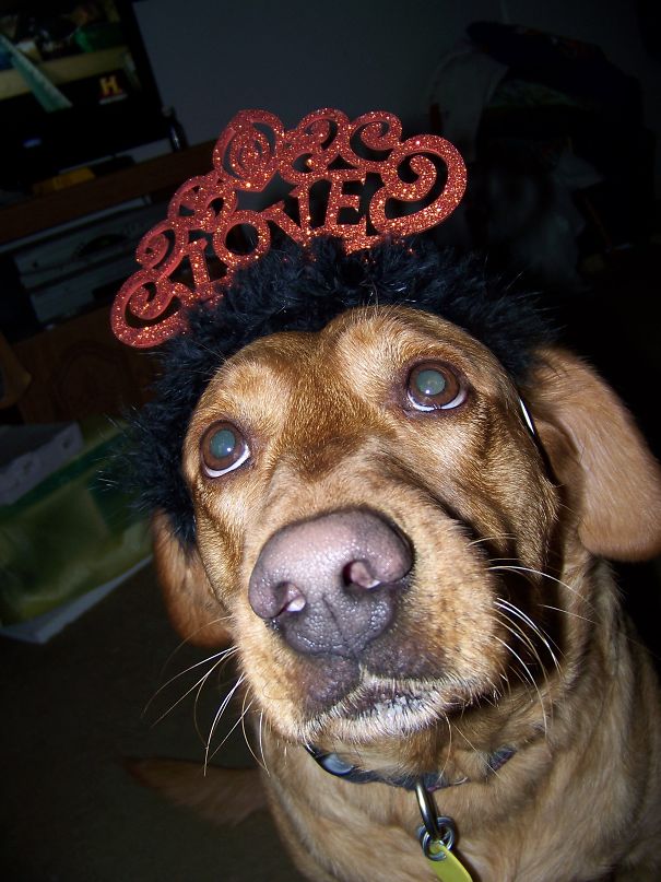 I Don't Think It's Her Style, Abby. She Has Saved Countless Lives. Fashion Do A? Not So Much.