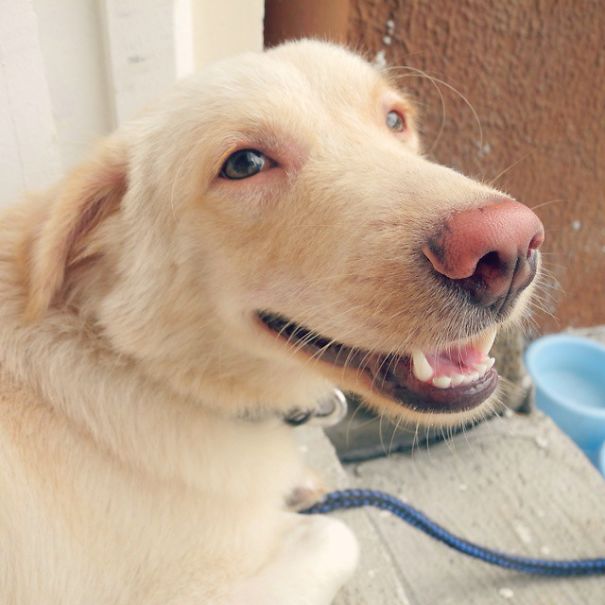 My Dog, Just Smokin' Weed And Stuff. :))