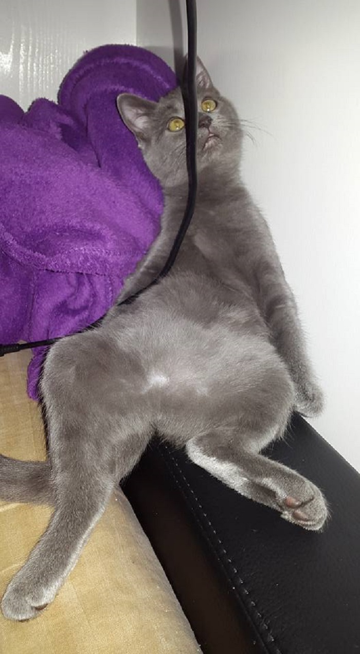 I'm A Little To Drunk To Move