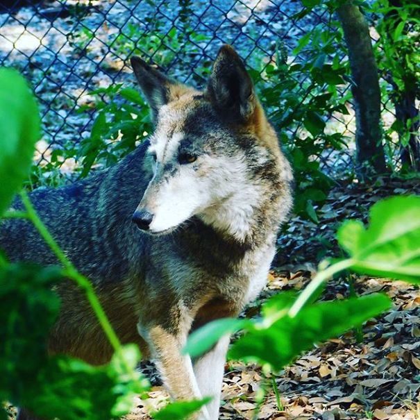 I'm 11 And I Adore Taking Pictures