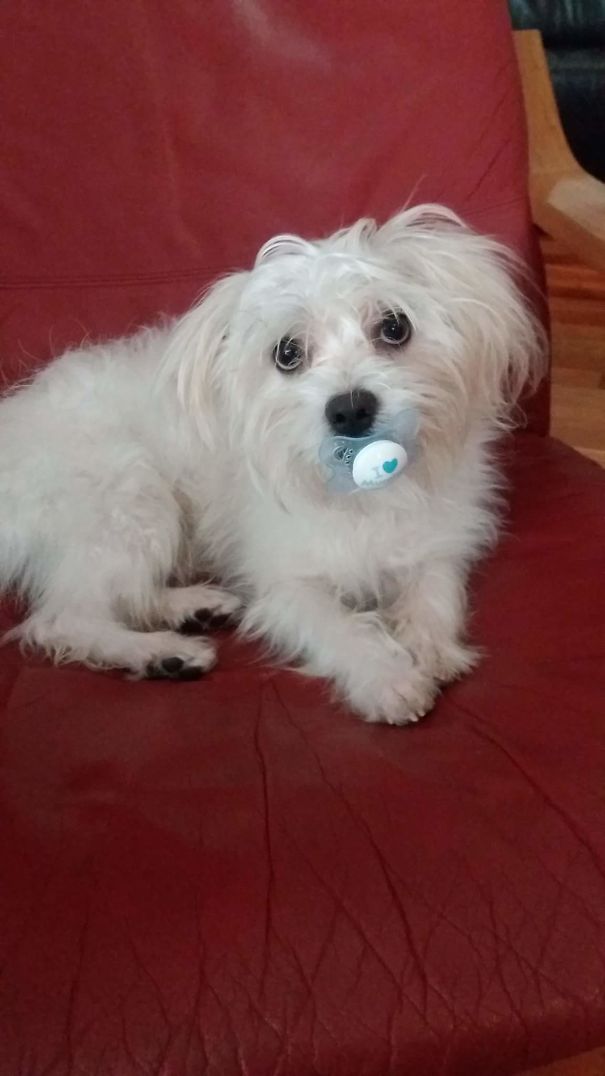 I Am A Baby Too 😯