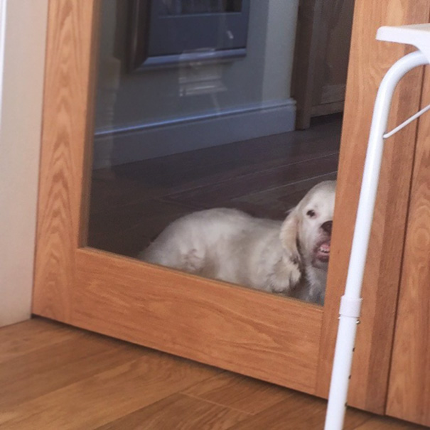 I Think He Wants My Mcdonald's