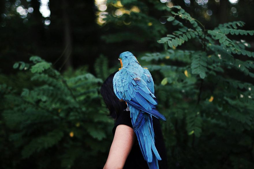 Love Making Faceless Portraits