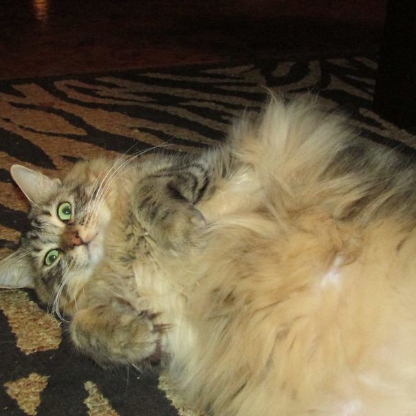 Vespa's Been Hittin' The "nip"!