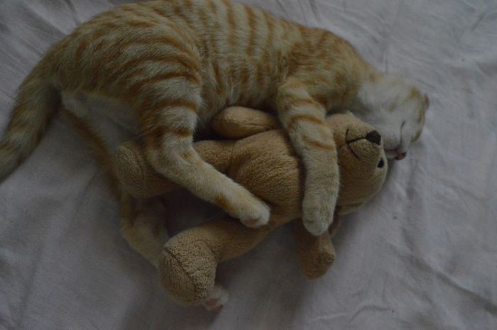 Not Weird Xd Just Cute