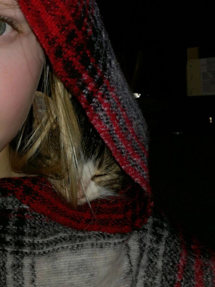 My Cat Hiding/sleeping In My Hood