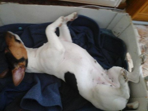 Weird Position To Sleep