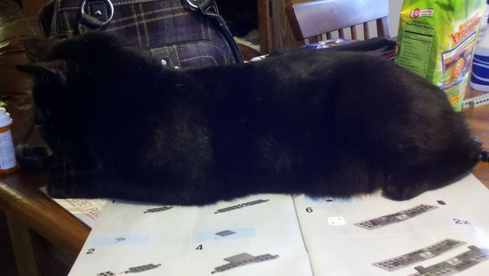 Promises Were Made. Memnoch Does Not Give Any Cares.