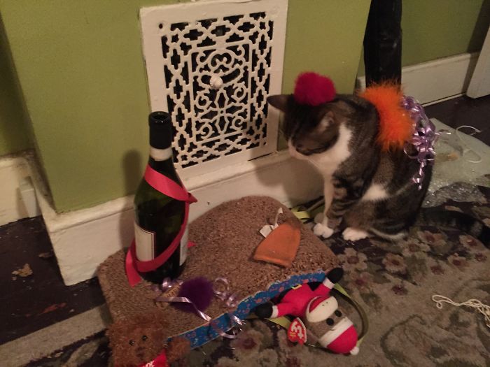 Girlfriend Never Missed A Good Party