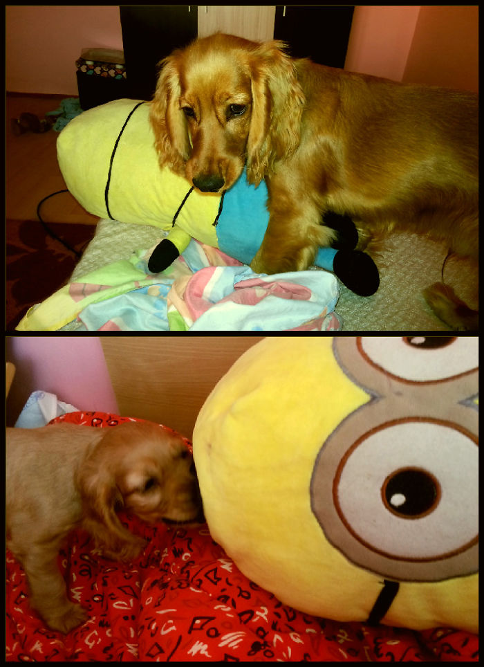 Marty And The Minion