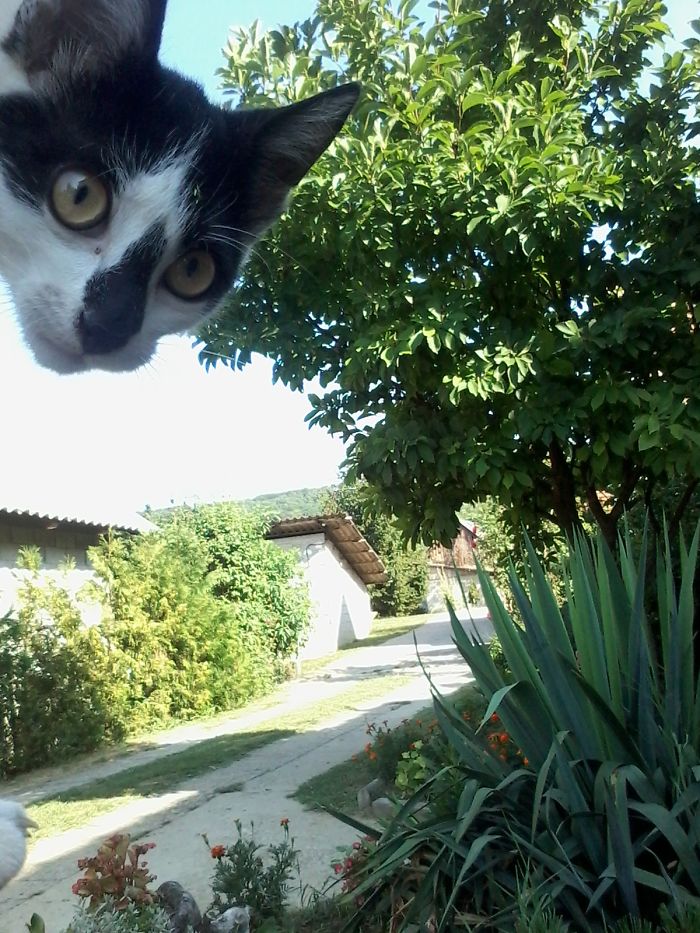 Hey Human What Are You Doing?