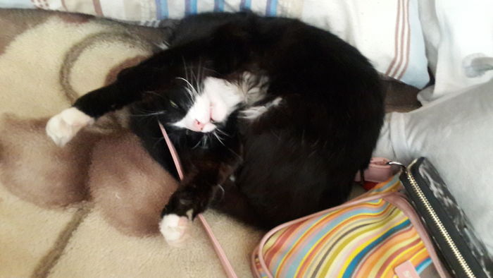 This Is How James Used To Sleep