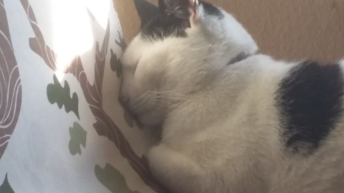 Often Sleeps Like This. Good Thing You Got Two Nostrils Little Weirdo