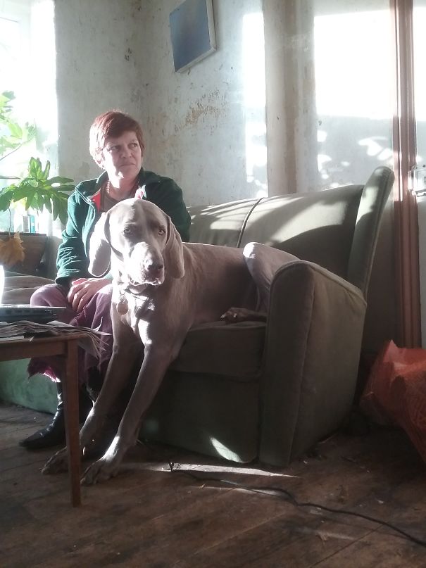 Jane And Hugo Watching Rugby. Selfishly, Jane Chose To Use Part Of My Sofa.