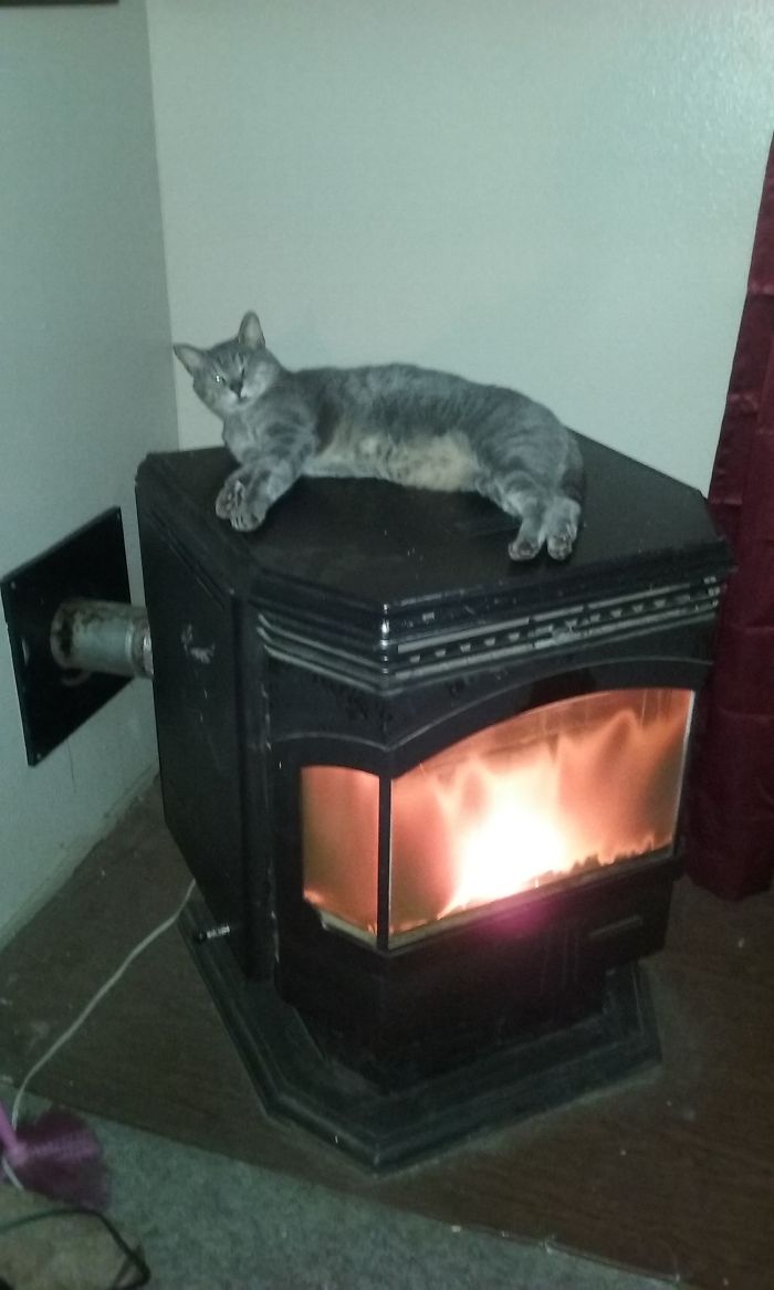 Nuts Has The Warmest Spot In The House.