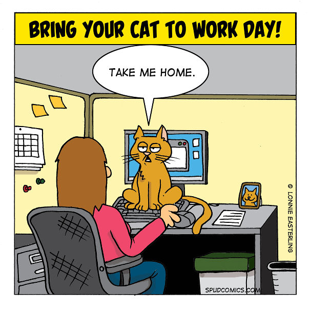 My Funniest Single Panel Comics