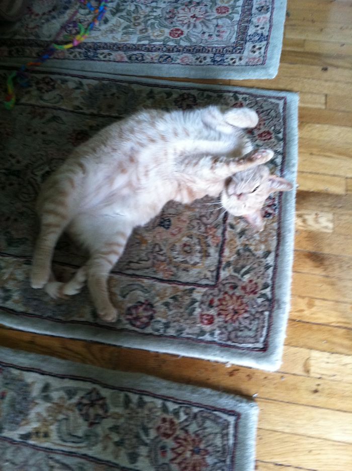 I Just Want To Get Some Sun