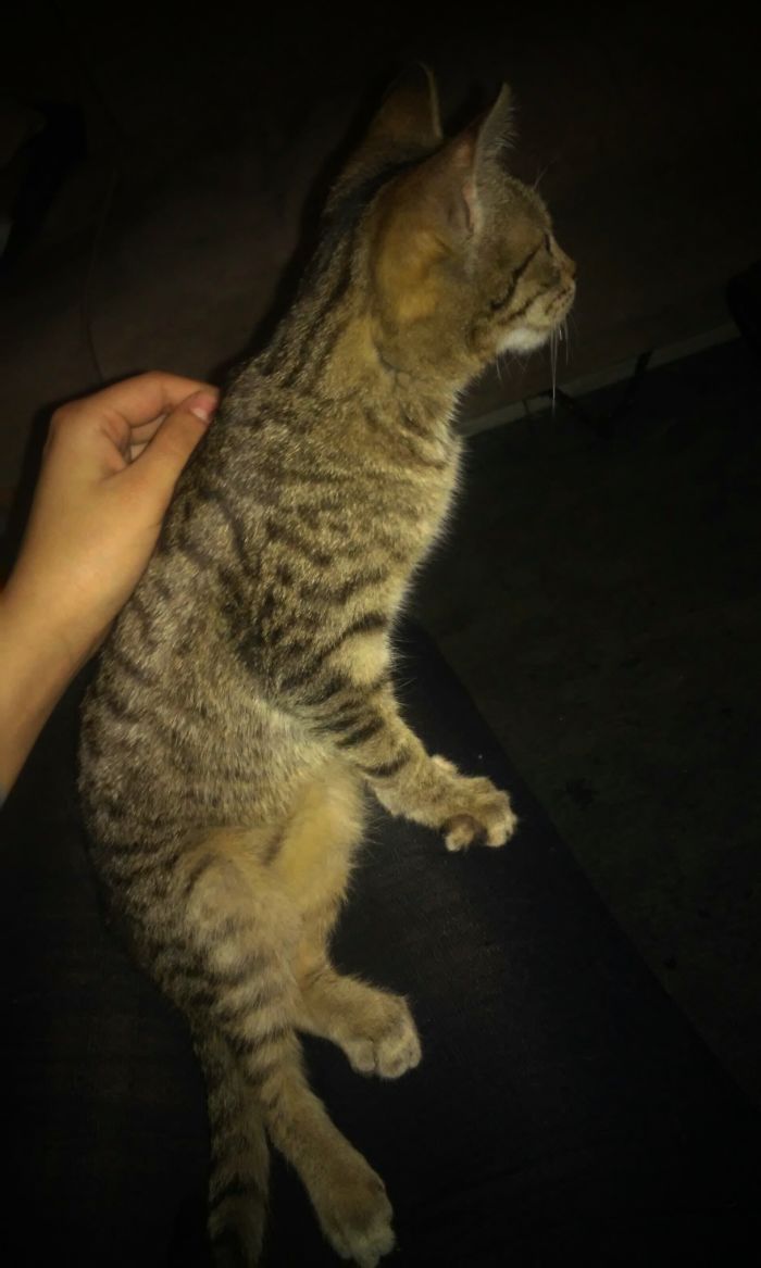 Its Kinda Weird How He Sits