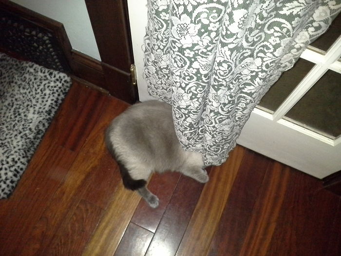 Mom And Dad Won't Find Me Here.