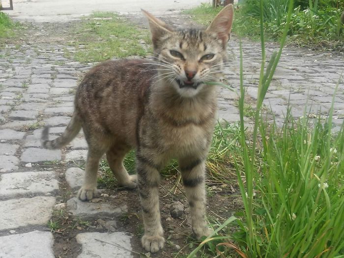 When You're About To Sneeze