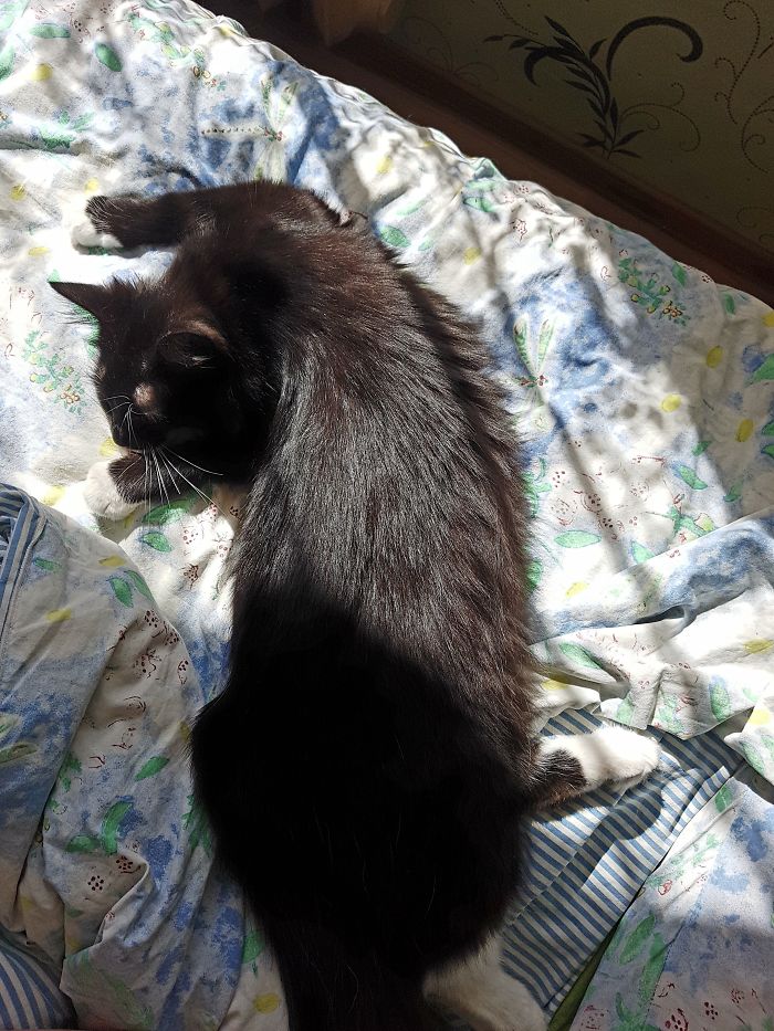 Might Be A Little Posessed