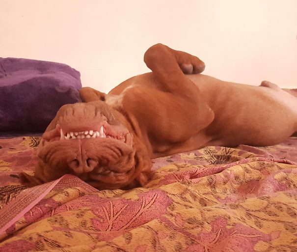 I Smile Wen I Sleep...