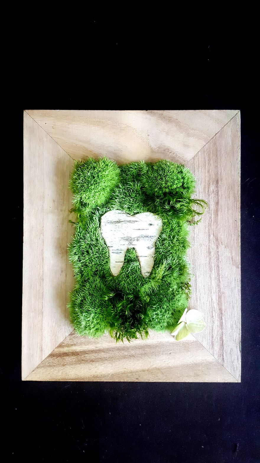 The Dentist's Appointment