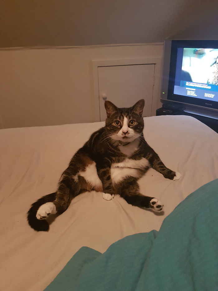He Sits Like This Alot