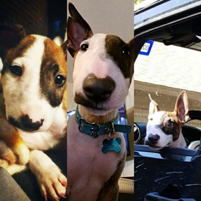 2 Months, 9 Months, Already Driving, Time Goes By So Fast