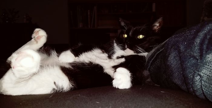 Really Knows How To Relax.