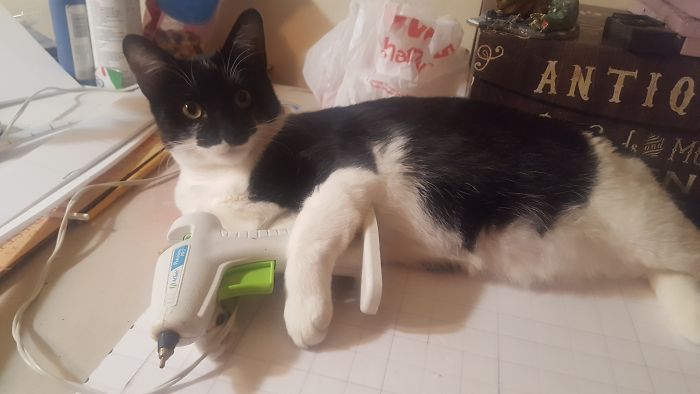 Wednesday Is A Crafty Girl...