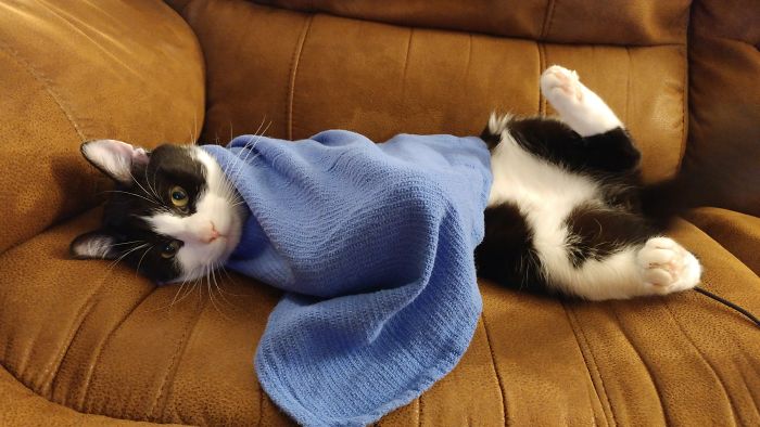 Came Downstairs To Find This...