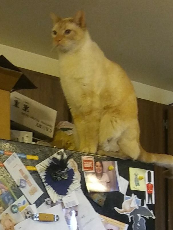 He's Pretending I Don't Exist.