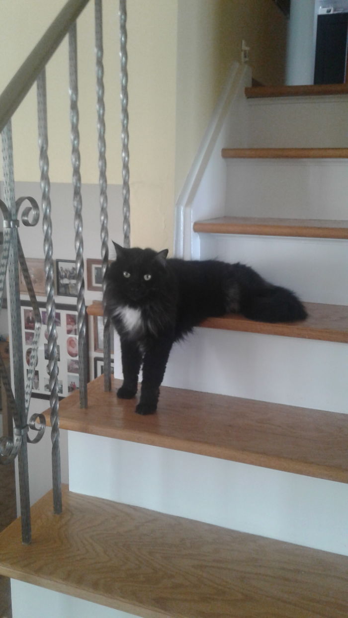 .spent About 10 Mins Like This, Just Looking Around.