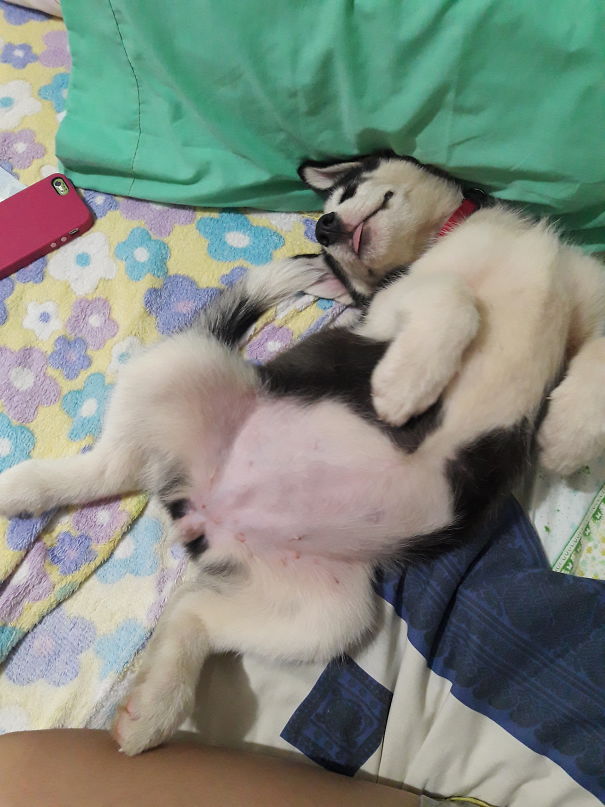 Found My New Little Baby Sleeping Like This 😂