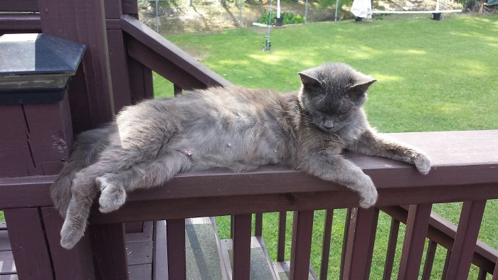 Momma Coal Living/sleeping On The Edge