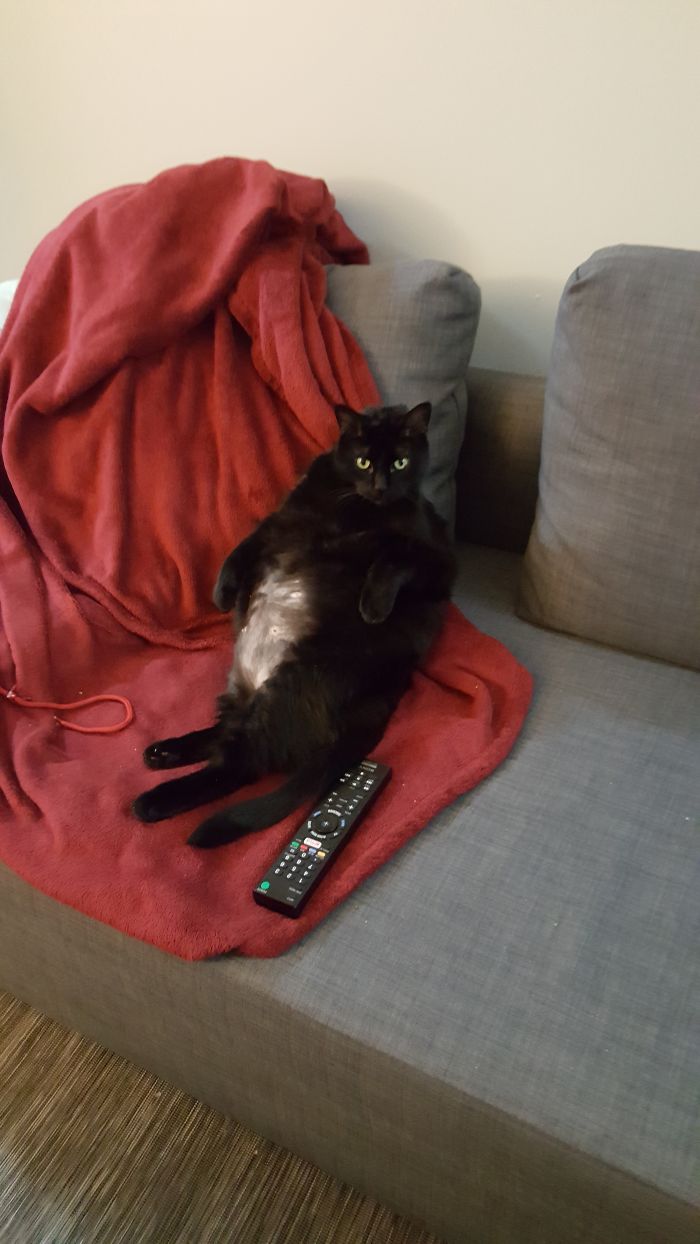 Walked Into The Living Room And Saw Him Like This....