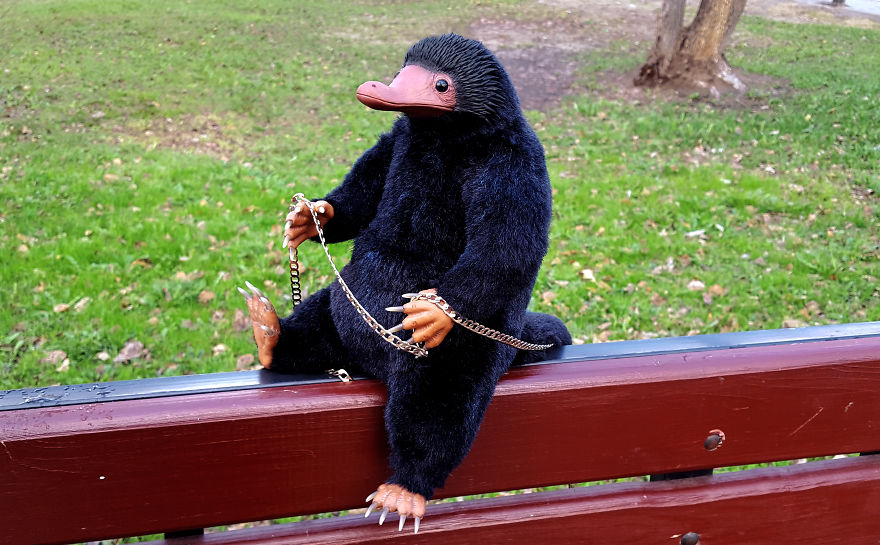 We Create Niffler From The Movie “fantastic Beasts And Where To Find Them”