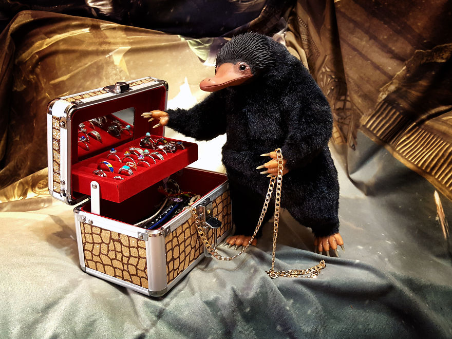We Create Niffler From The Movie “fantastic Beasts And Where To Find Them”
