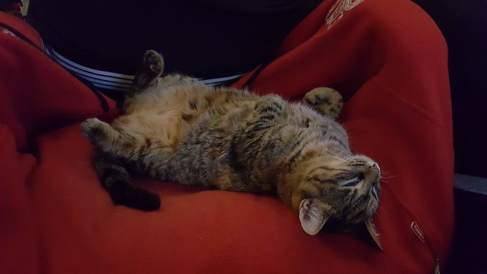 When I'm Headed For Work...