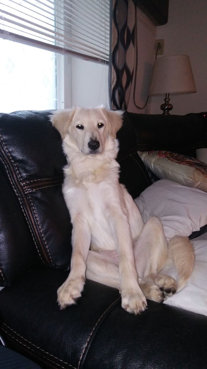 Crowley At 2 Months And Crowley At 6 Months