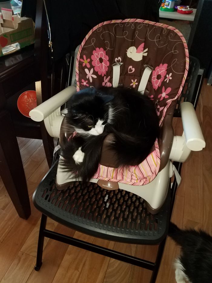 Ty Likes To Be A Child